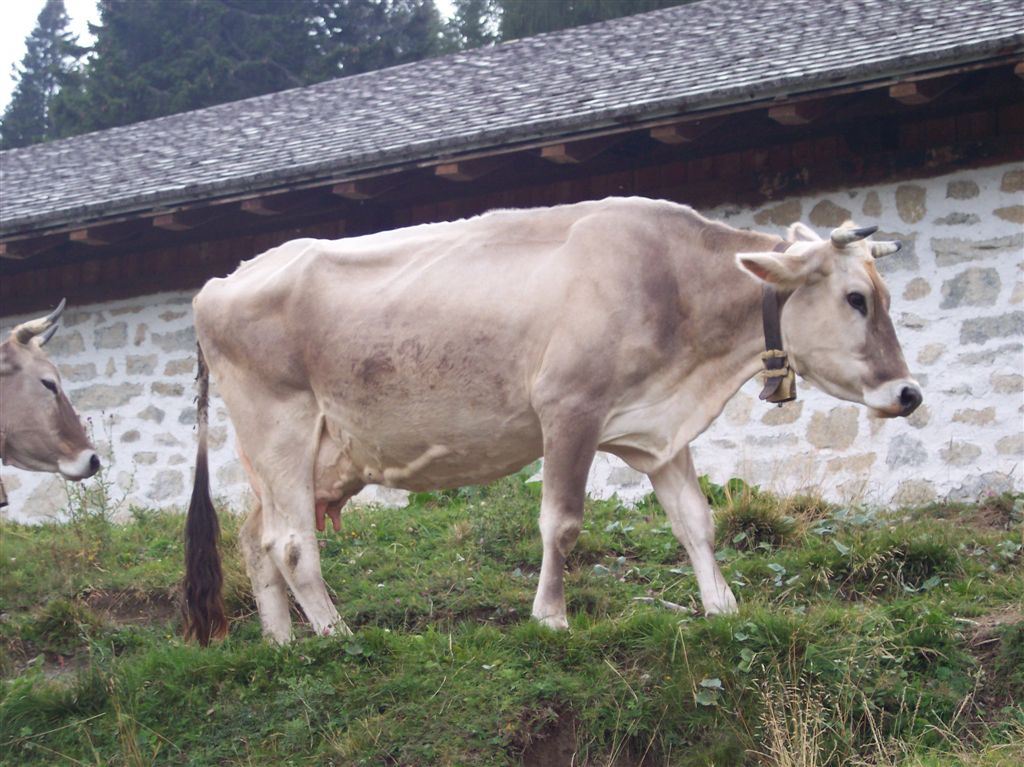 foto (210).JPG